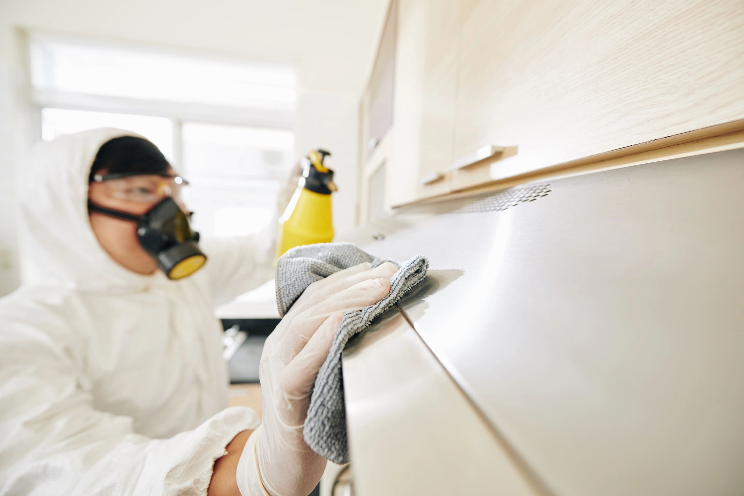 How Much Does Mold Inspection Cost