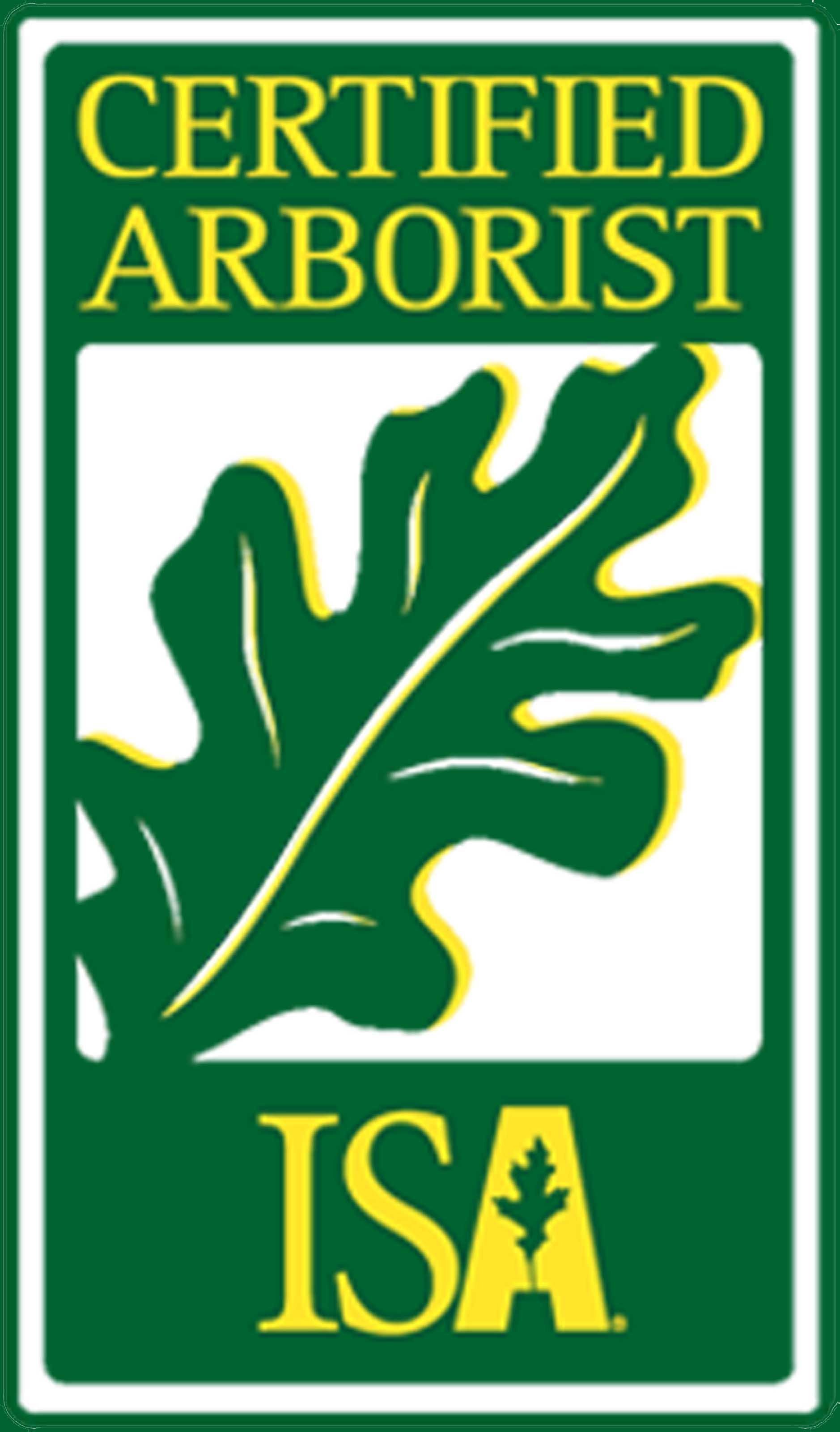 Certified Arborist Jacksonville, FL The Branch Manager