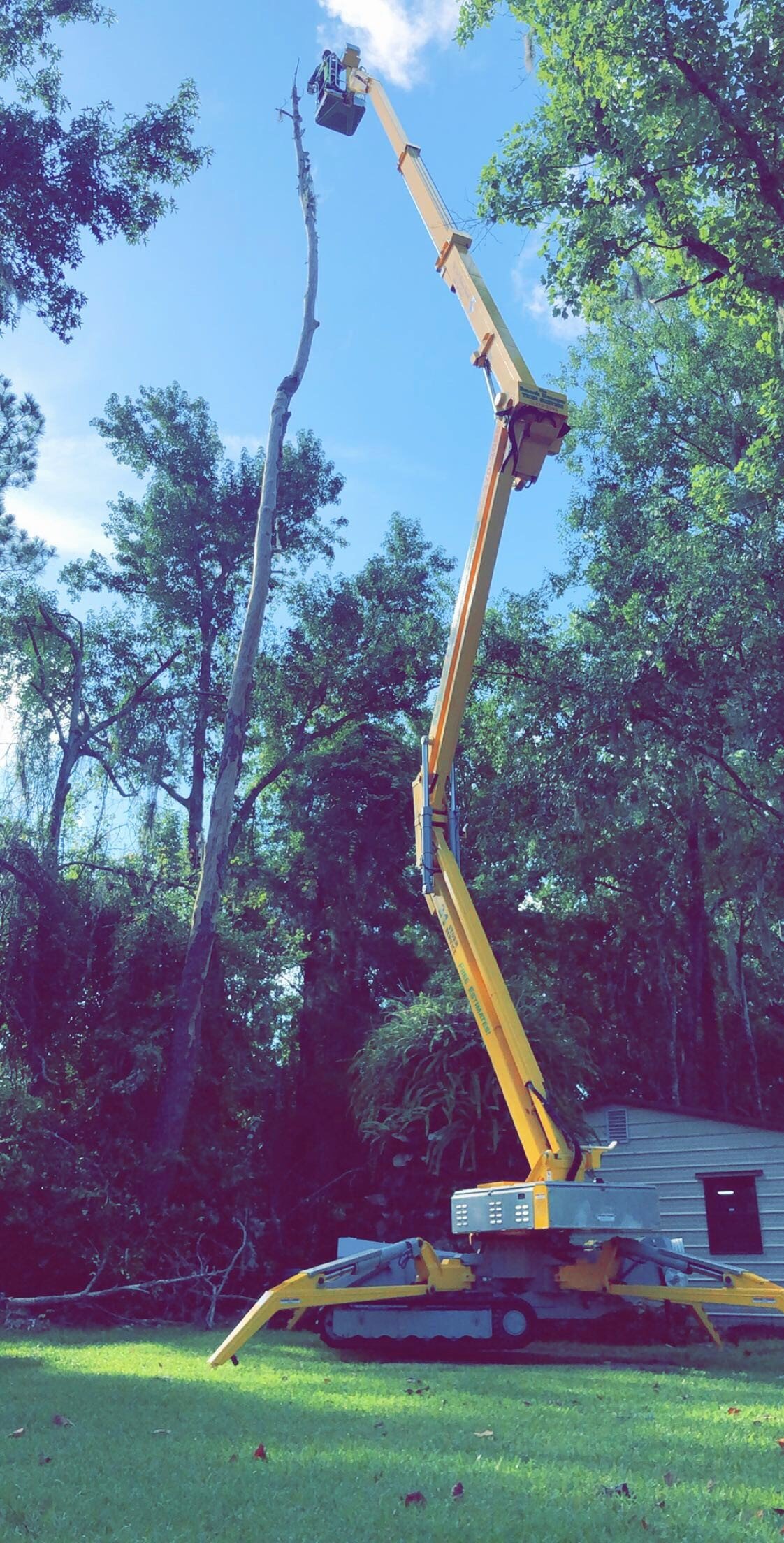 ISA Certified Arborist Jacksonville, FL The Branch Manager
