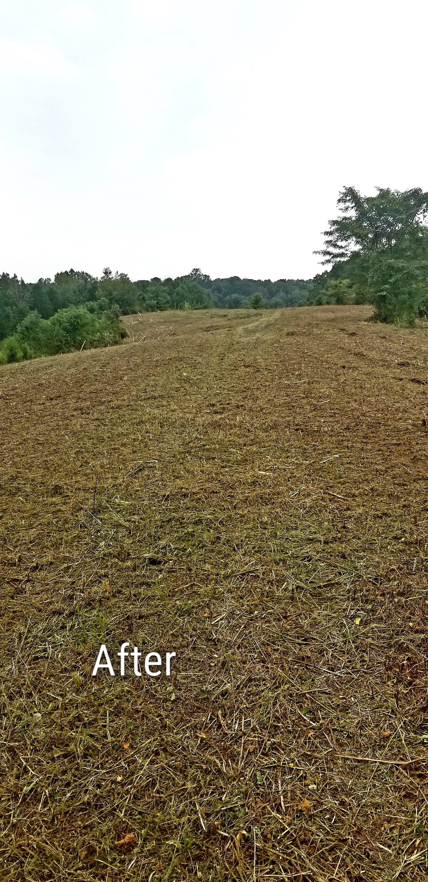 Land Clearing Louisville KY Kentucky Land Clearing