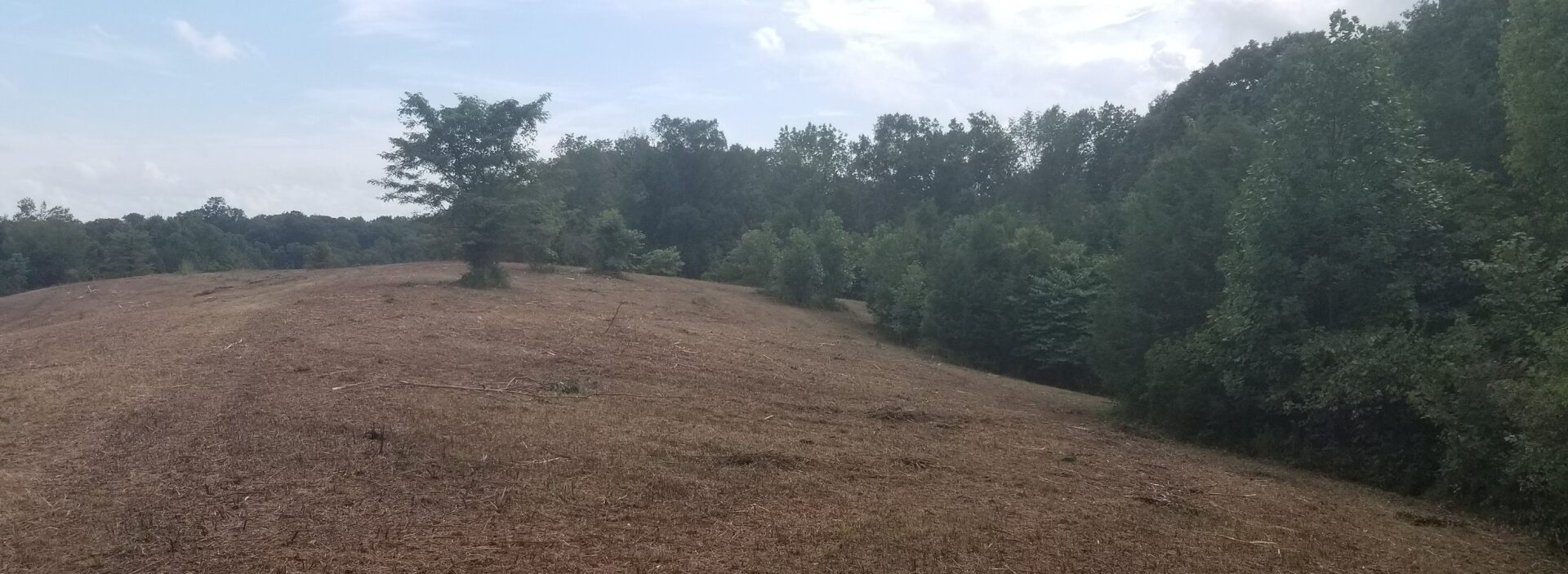 Land Clearing Louisville KY Kentucky Land Clearing