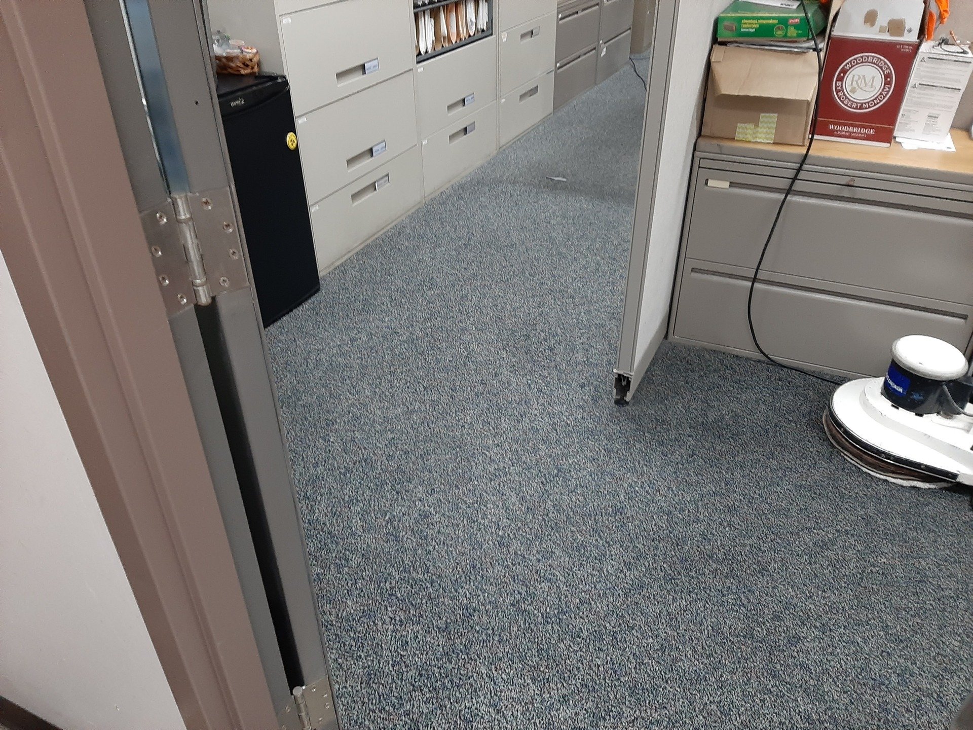 RotoStatic Carpet and Upholstery Cleaning Carleton Place