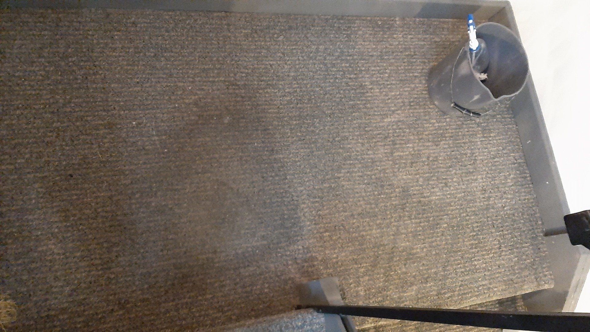 RotoStatic Carpet and Upholstery Cleaning Carleton Place