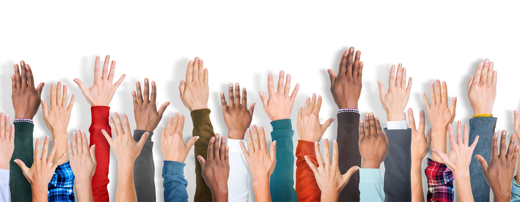 Peter Lee Associates