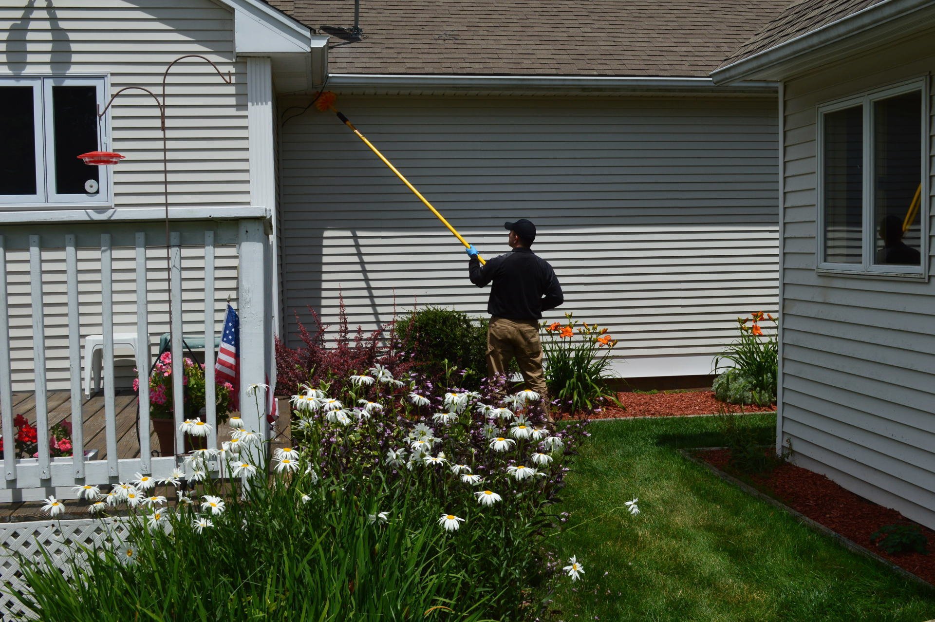 Pest Assassins Pest Control East Greenwich, RI Local Pest Pros