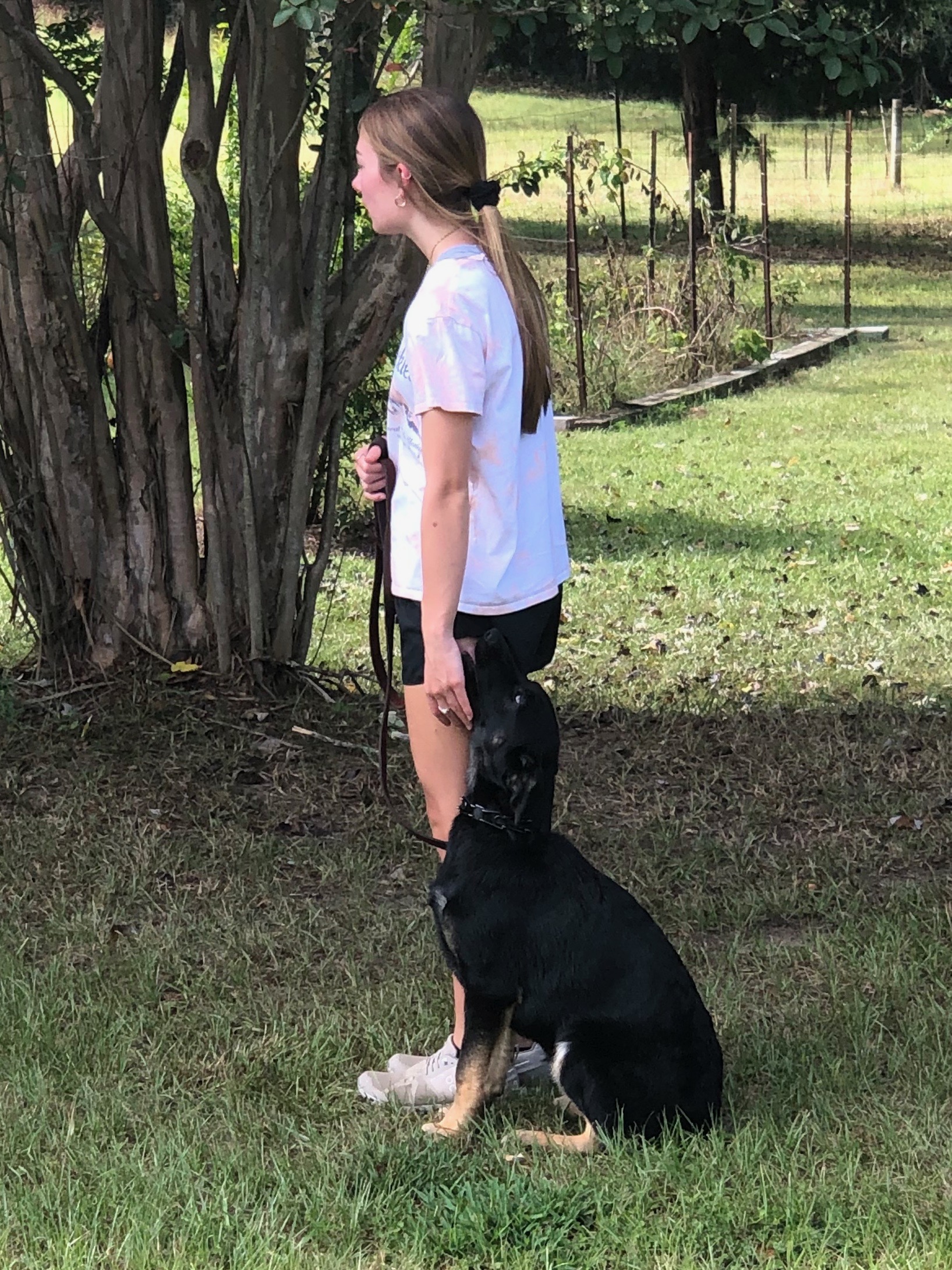 Gallery Maringo Creek Farm Dog Boarding & Training in Opelika AL