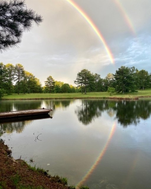 Gallery Maringo Creek Farm Dog Boarding & Training in Opelika AL