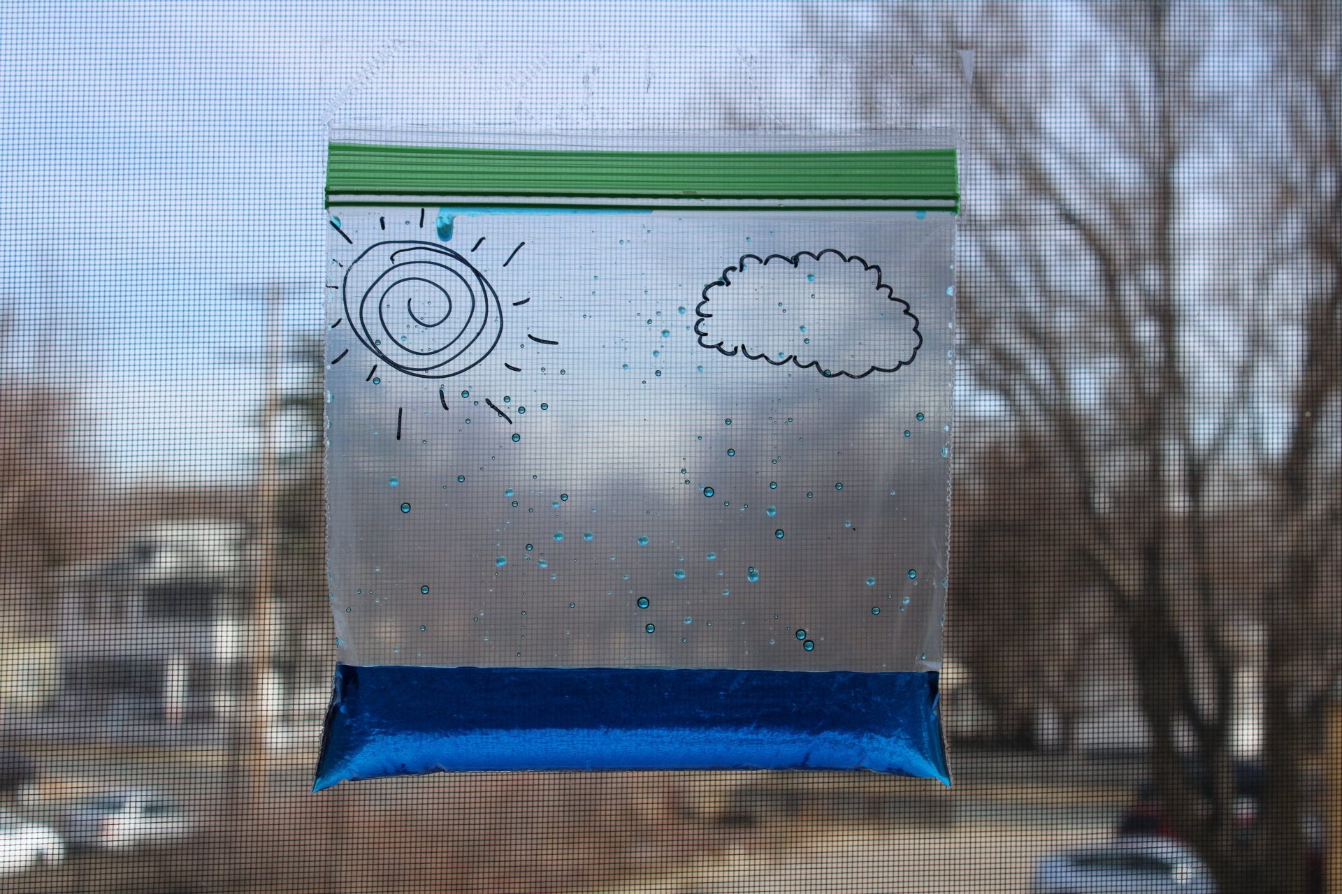Water Cycle In A Bag