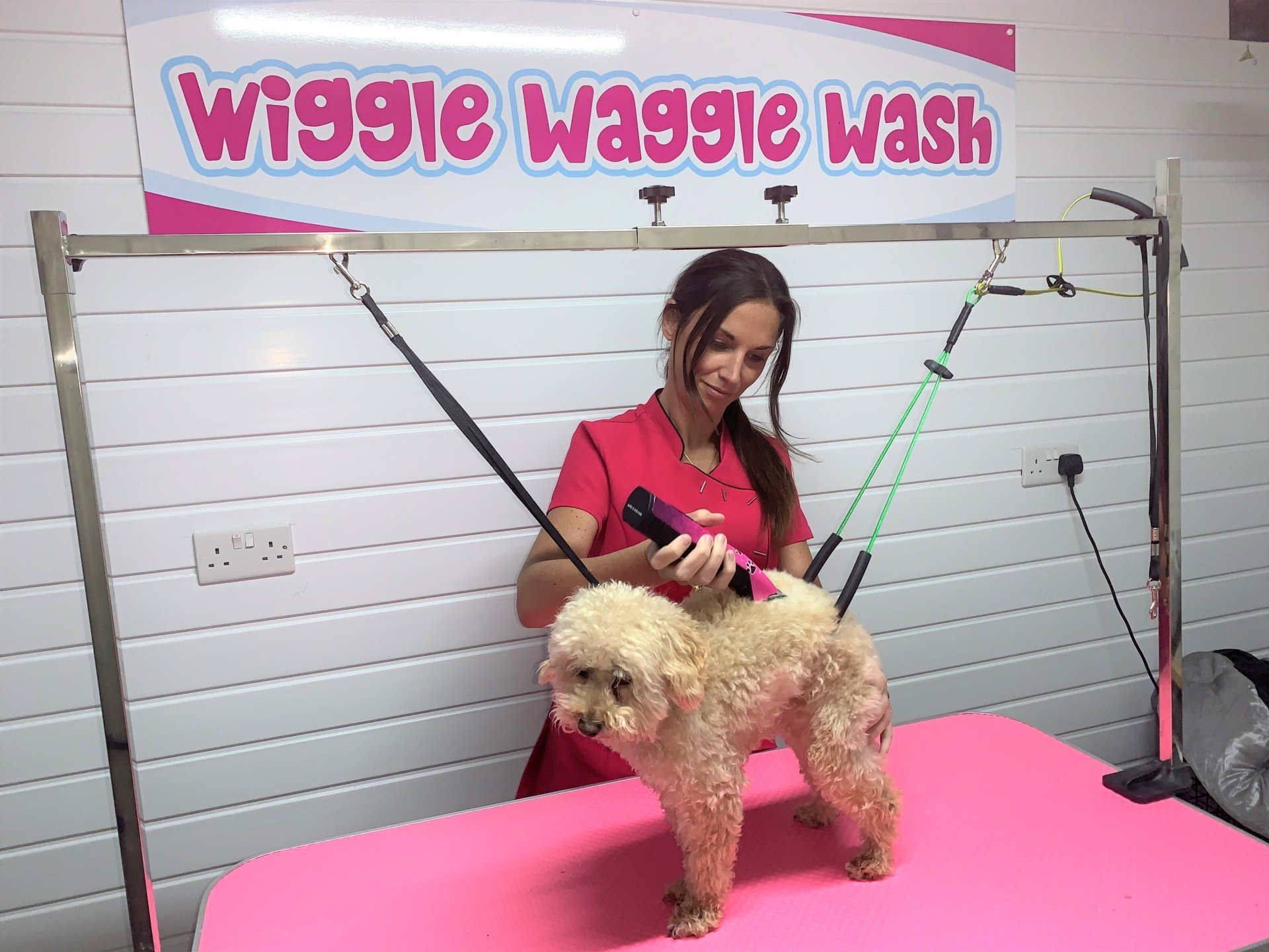 Dog grooming with love in Grays , Essex
