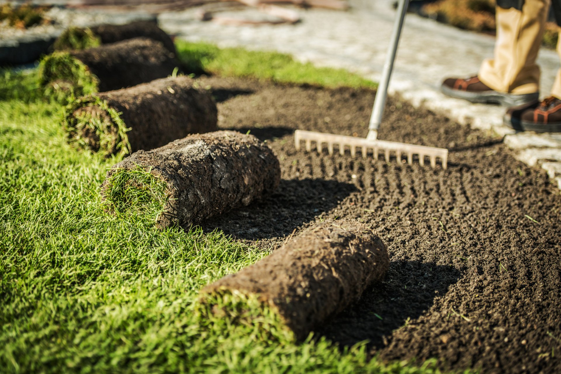 sod-installation-wilmington-nc-turf-masters-sod-farms