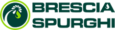 Brescia Spurghi