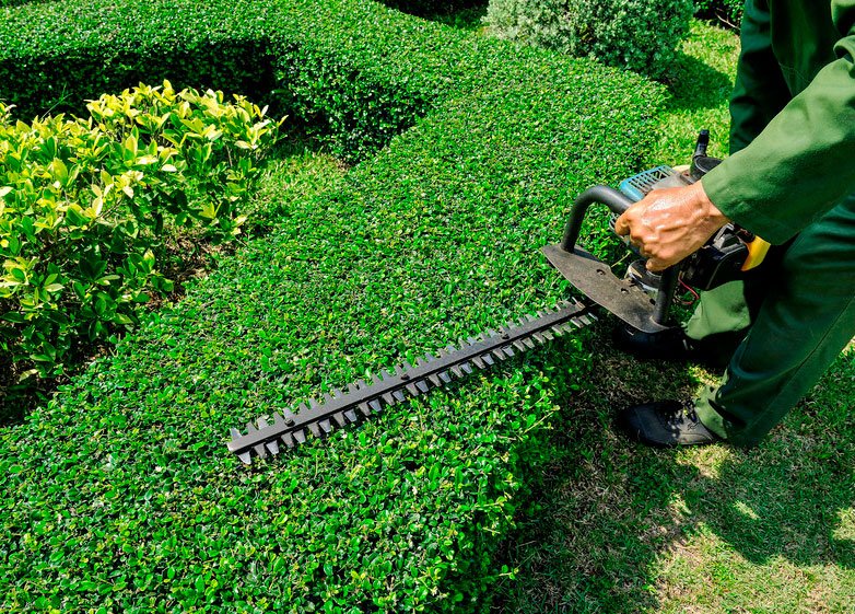 Garden machinery sales at Greencast