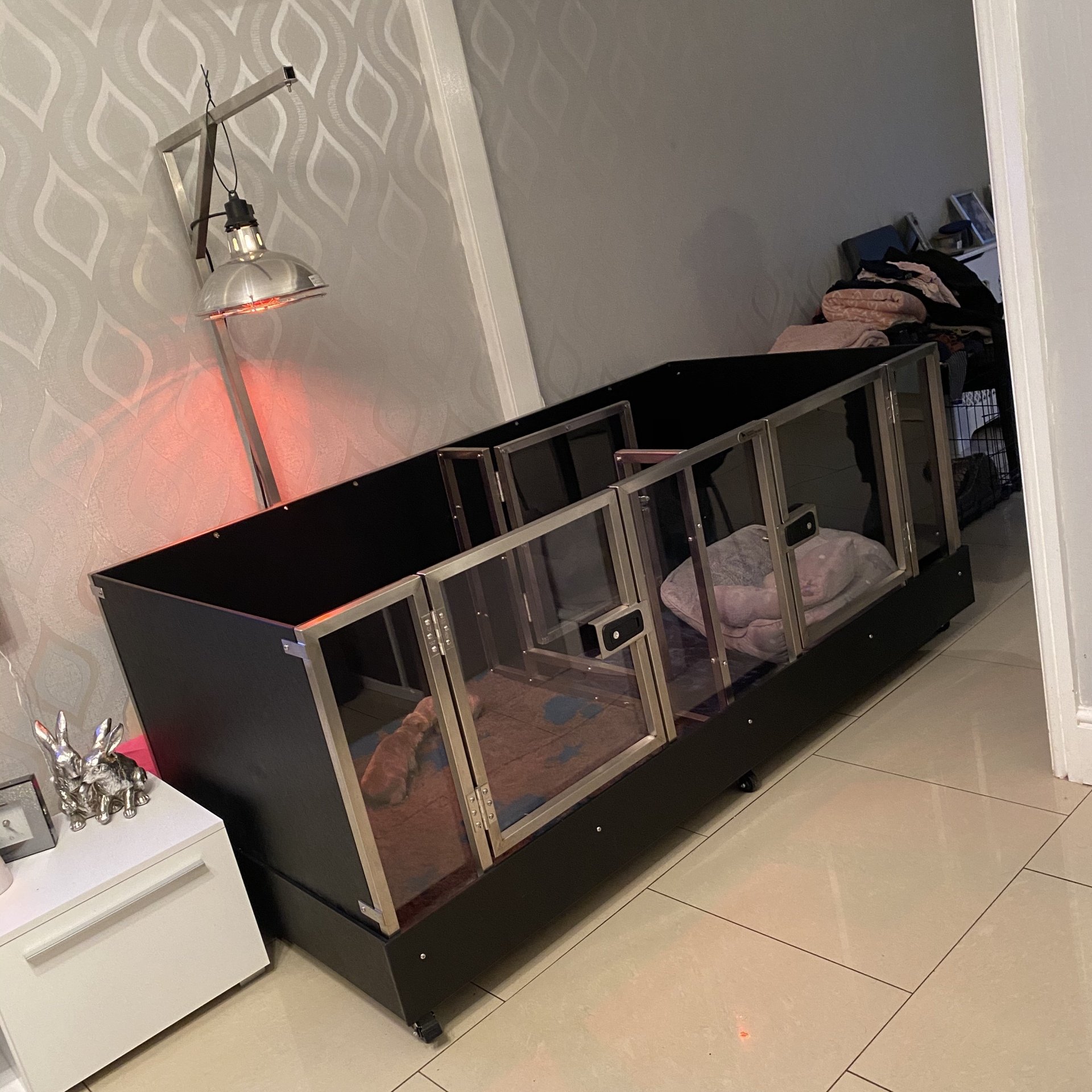 Dog Whelping Box & Pen Solutions Animal Transit Boxes