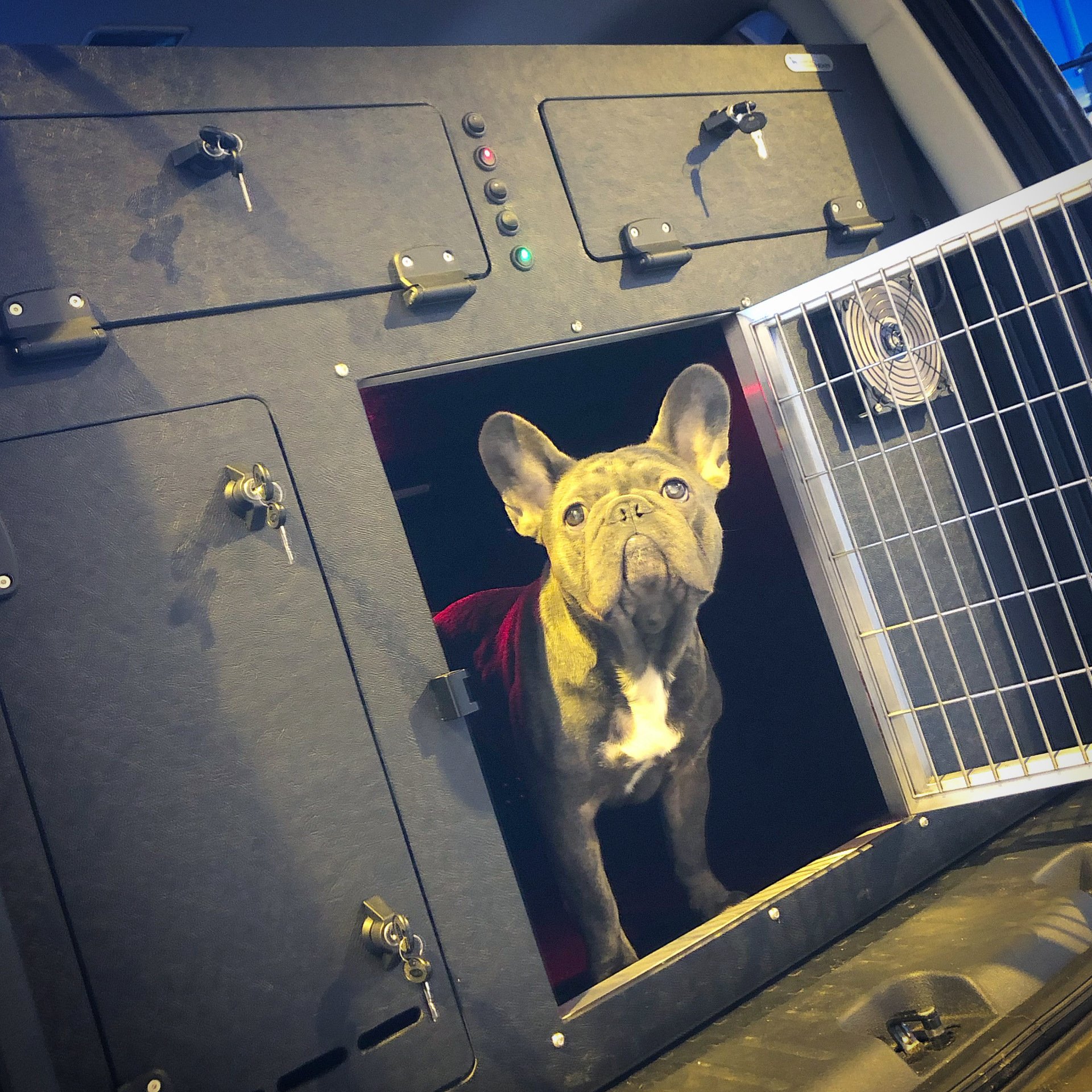 Animal Transit Boxes Dog Car CagesDog Travel BoxDog Boxes