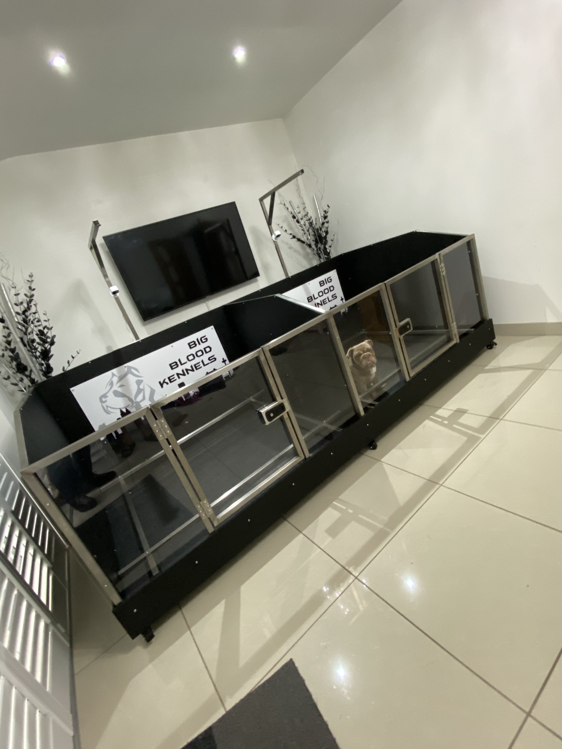 Dog Whelping Box & Pen Solutions | Animal Transit Boxes
