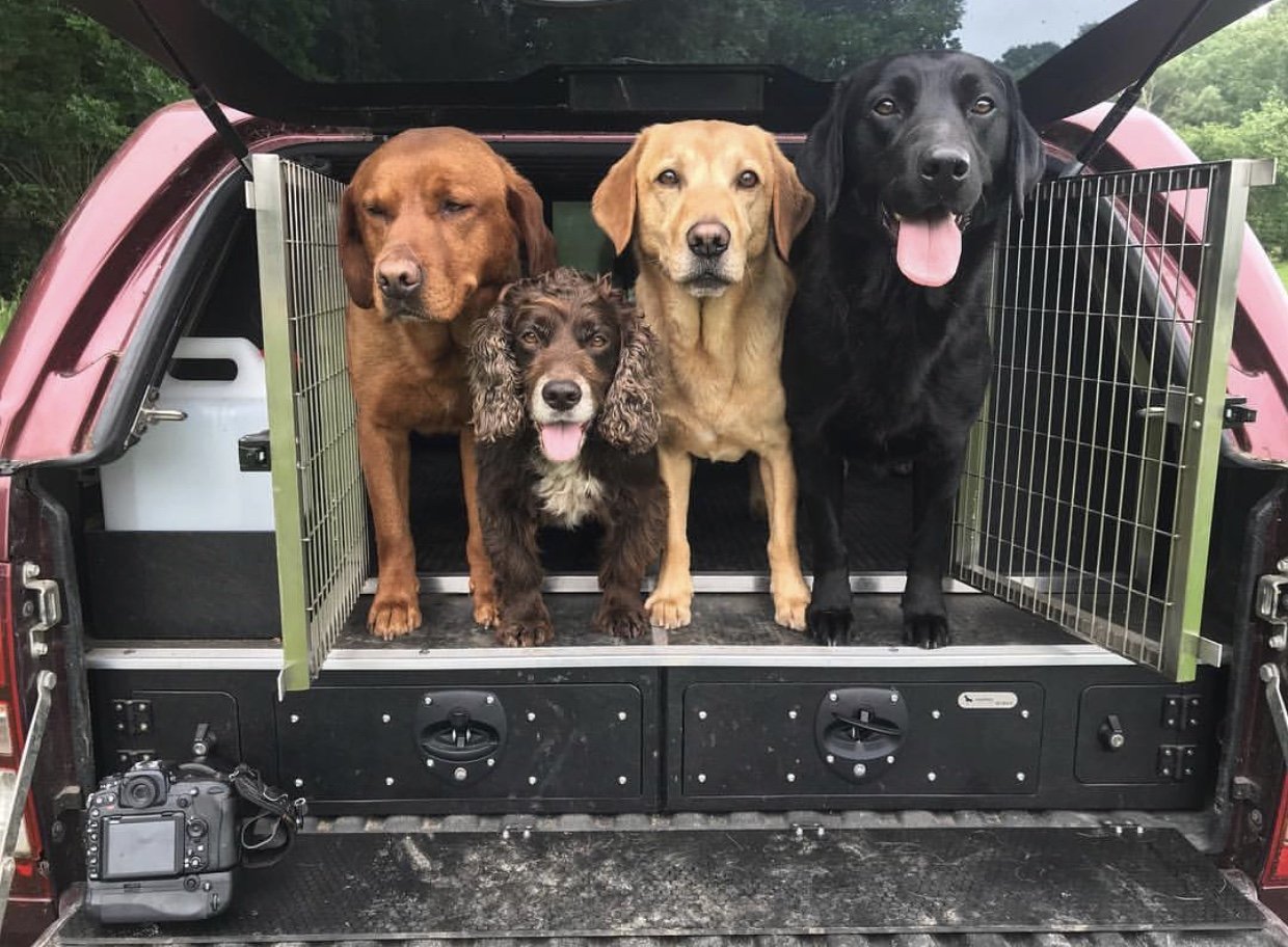 Animal Transit Boxes | Custom Dog Crates & Dog Van Conversions Gallery