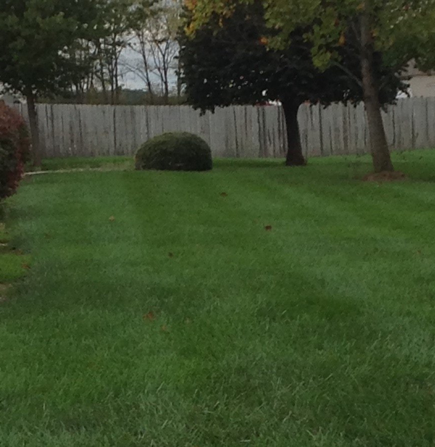Lawn Care l Wayne, IN l Leisure Lawn of Fort Wayne
