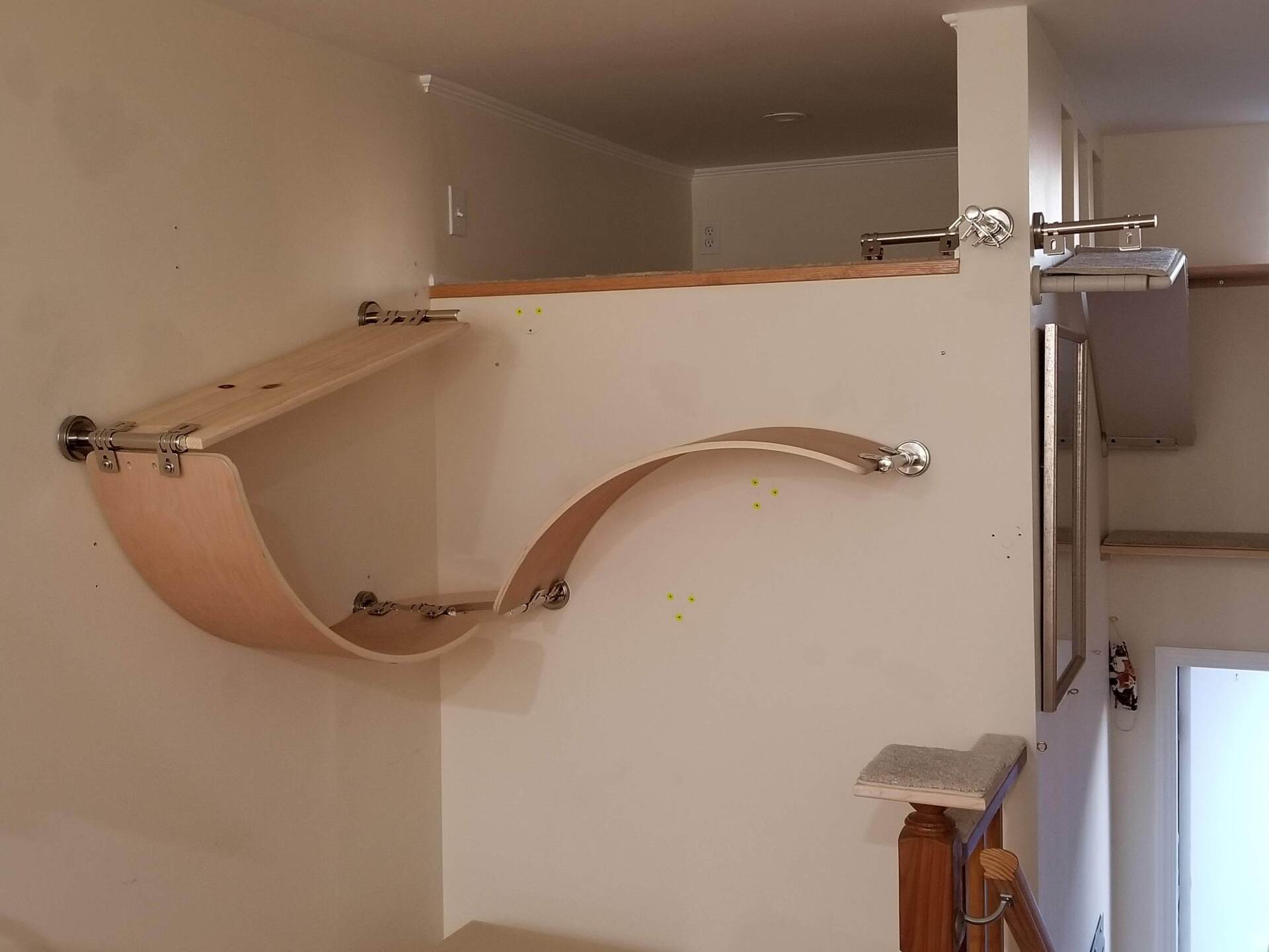 Cat Shelves modern, modular, easy to customize and install