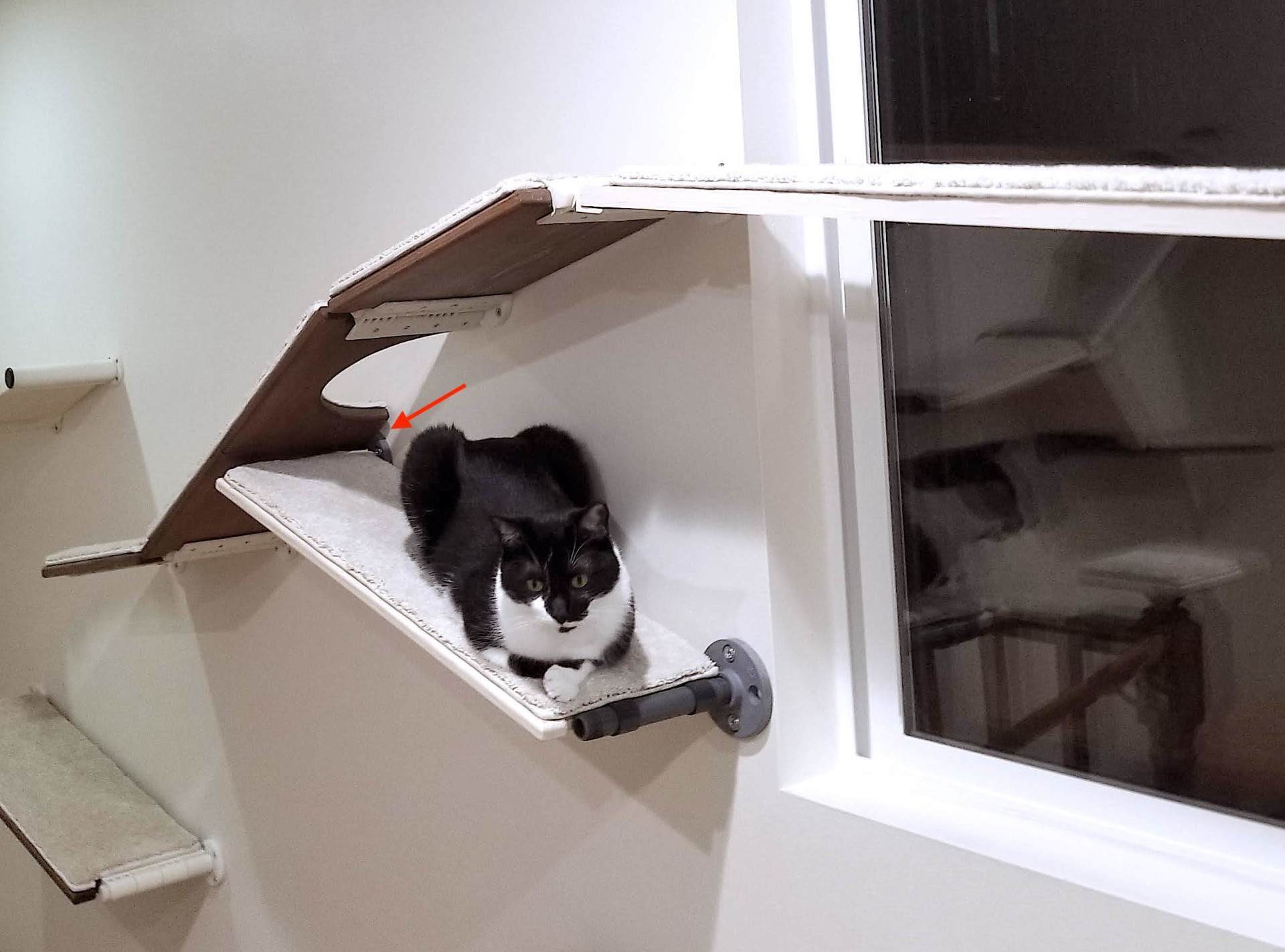 Cat Shelf Installation Guide and Videos