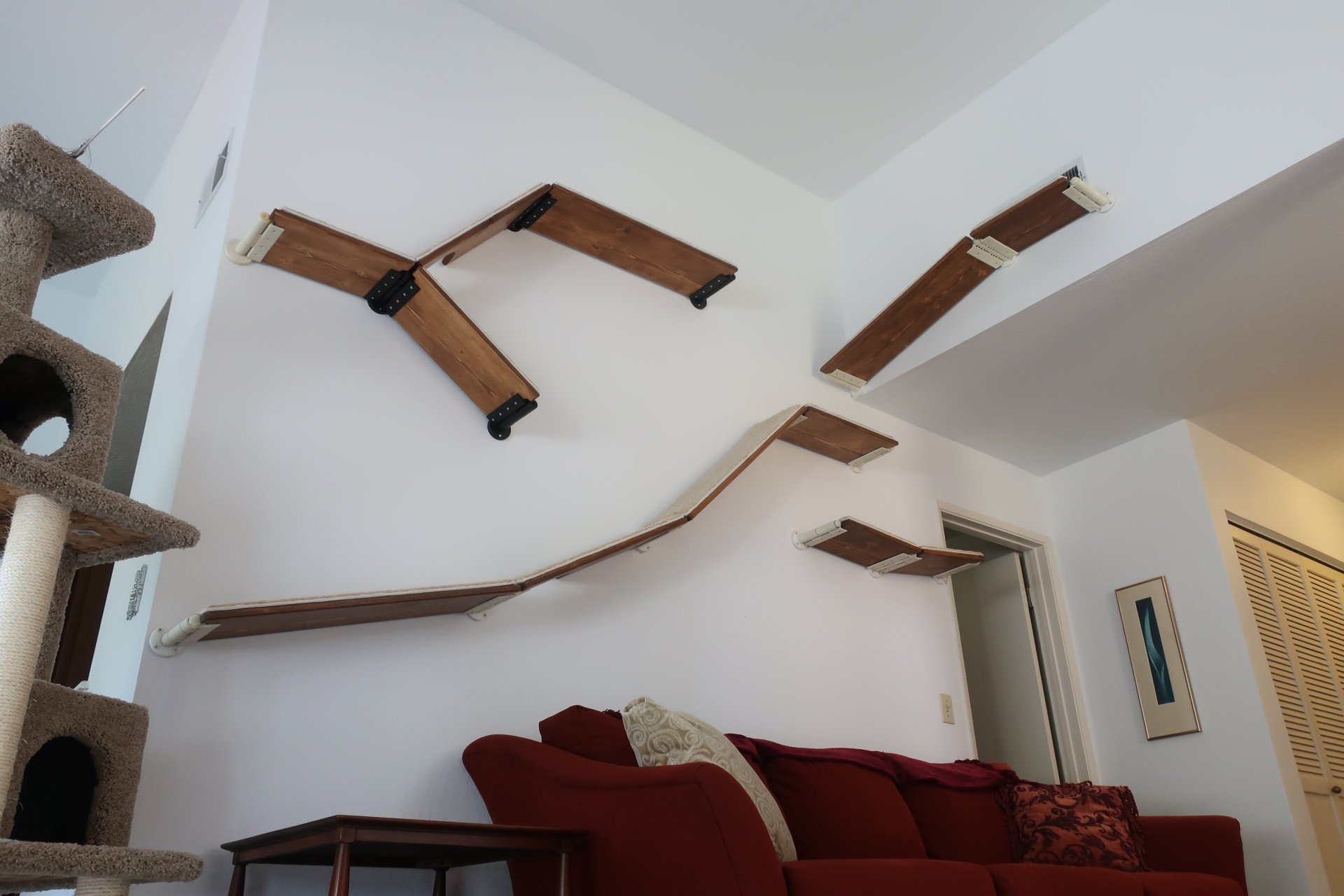 Cat Shelves, Cat Trees, Modern, Modular and Elegant Cat Furniture