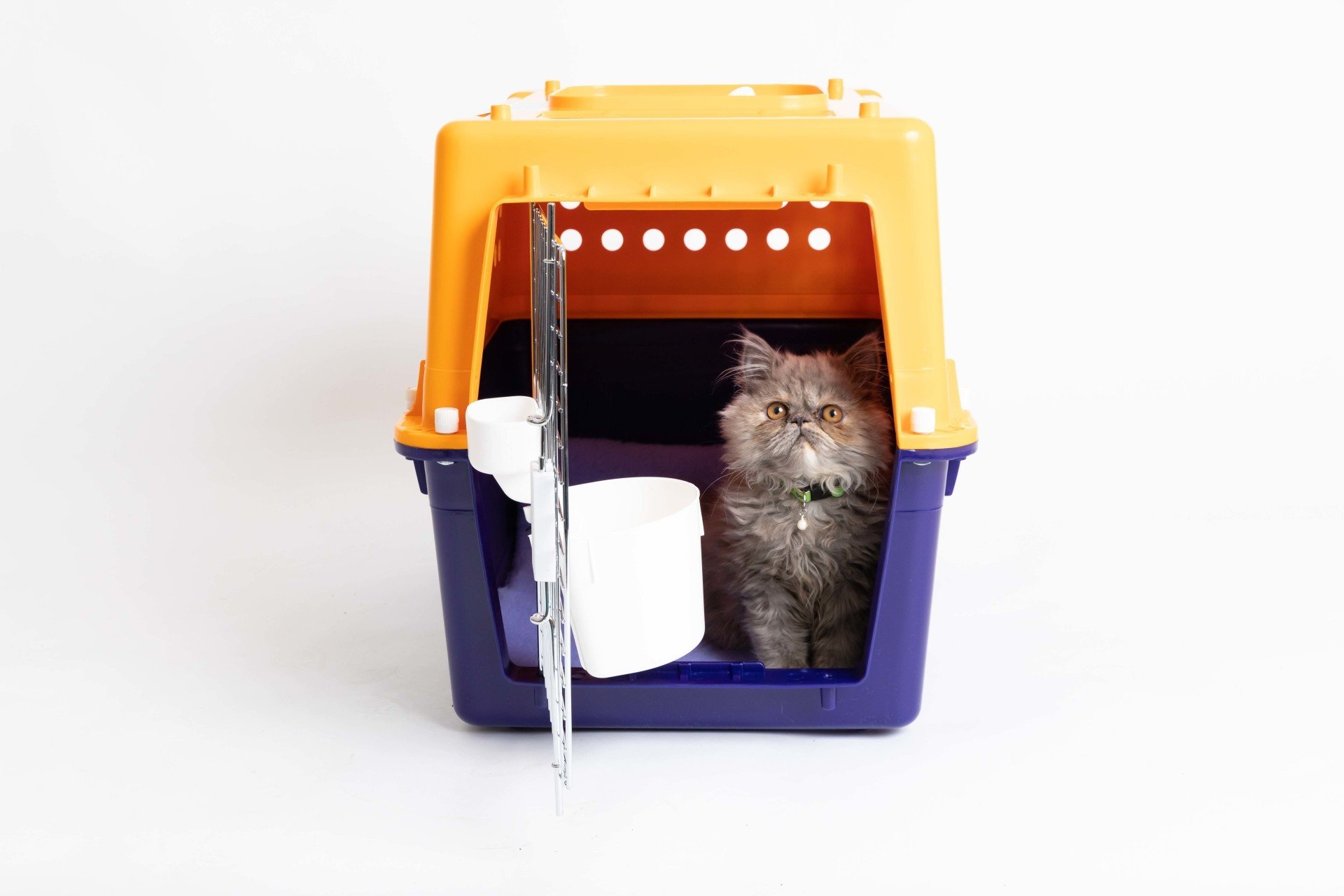 Pet Transport in Australia Aussiemove International Movers Pty. Ltd.