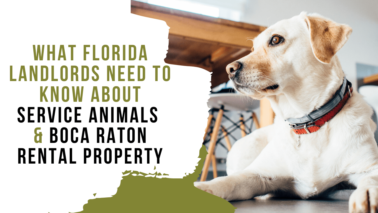 What Florida Landlords Need to Know About Service Animals & Boca Raton
