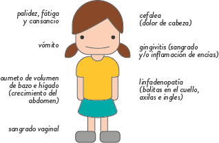Oculto bajar la grasa abdominal en 5 dias bajar la grasa abdominal en 5 dias
