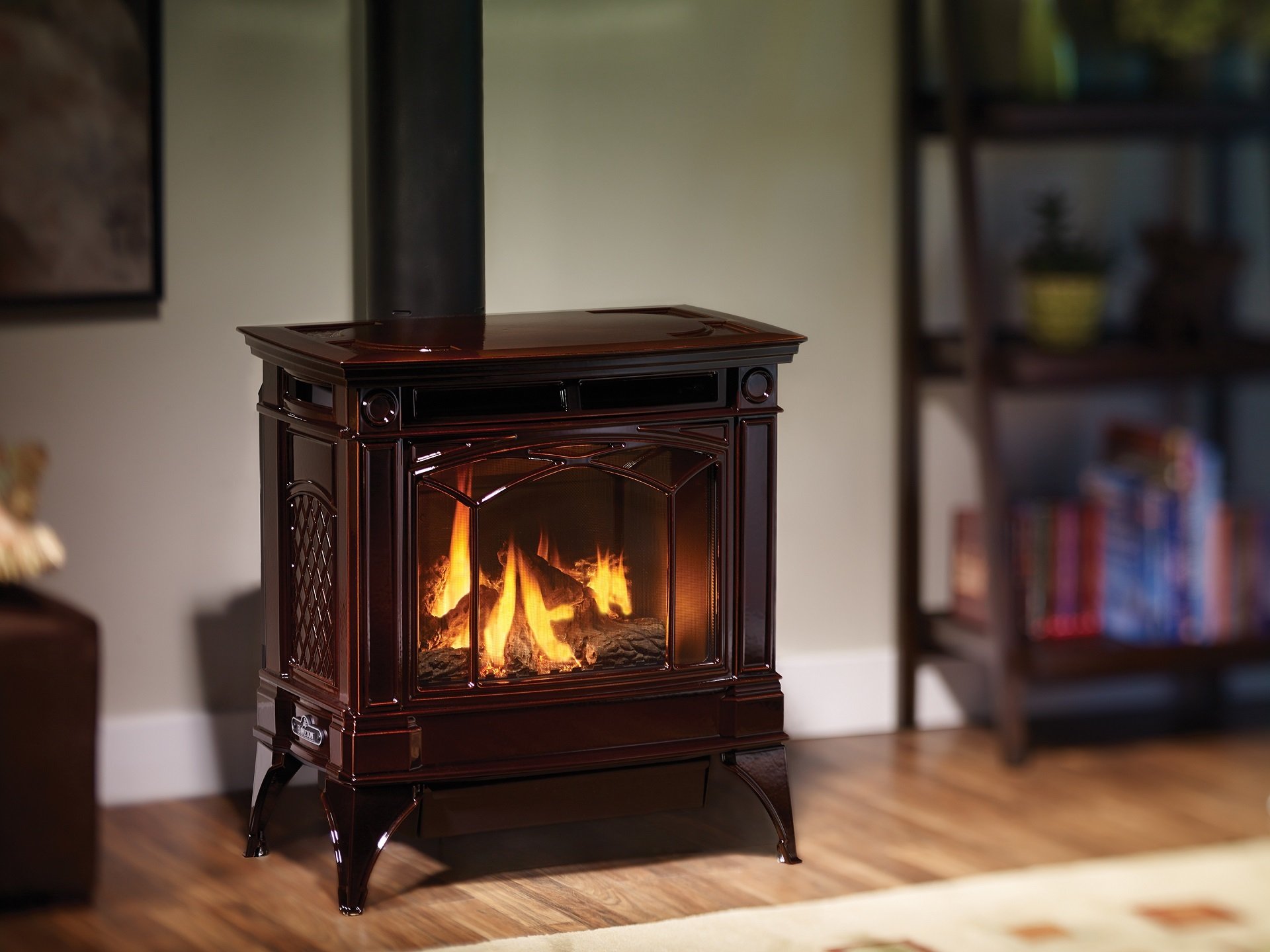 Fireplaces, Stoves, Inserts — Santa Cruz, California — Woodstove & Sun