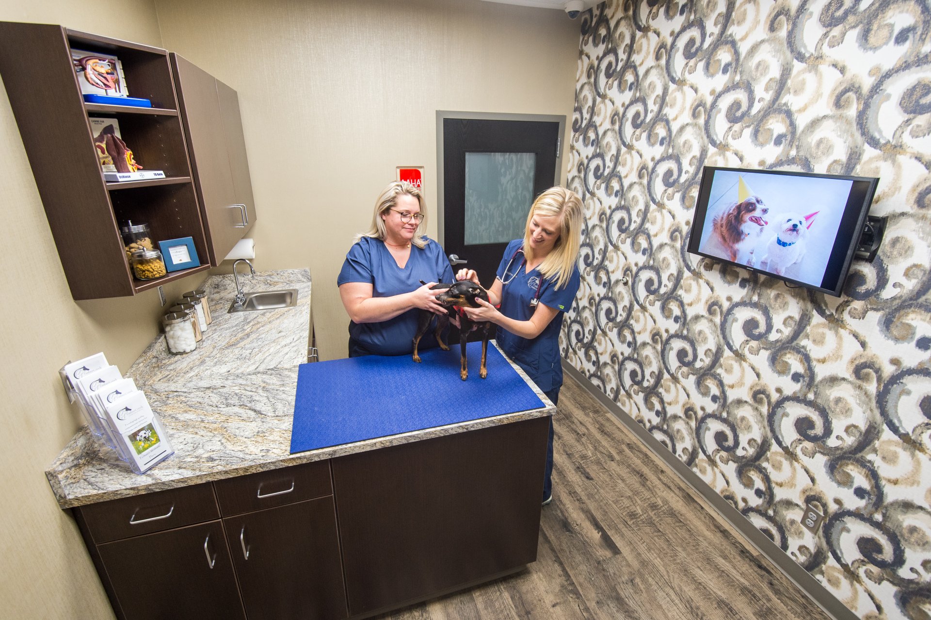 TimberCreek Veterinary Hospital Manhattan, KS Veterinarian