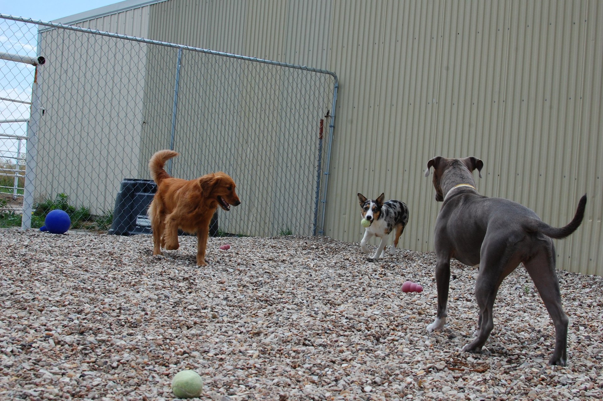 TimberCreek Veterinary Hospital Manhattan, KS Veterinarian