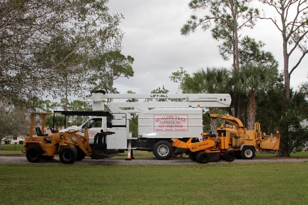 Tree Removal Services Malabar, FL Quality Tree Experts Inc.
