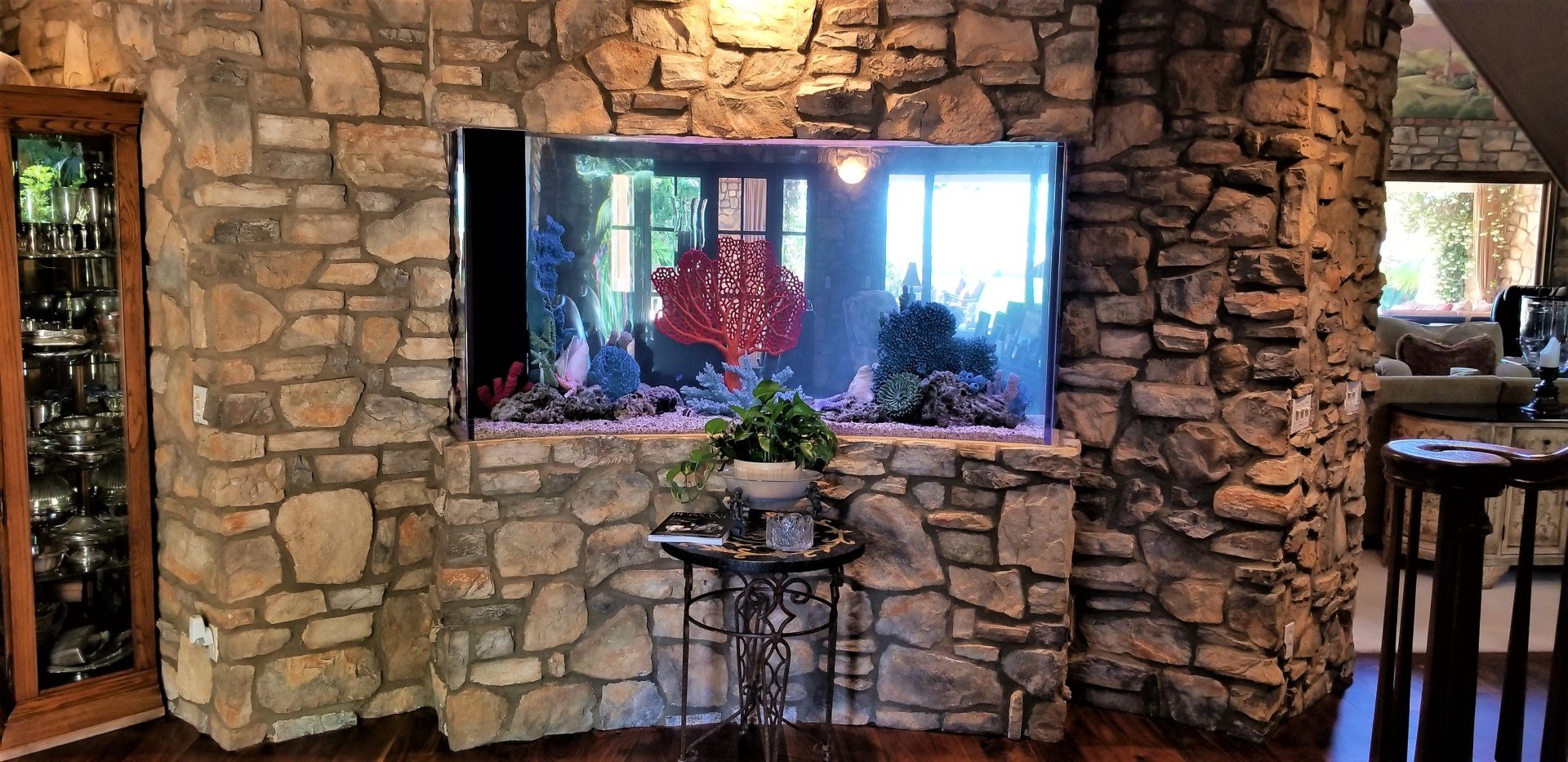 Aquarium Company Carlsbad, CA Aquaman Aquarium Services