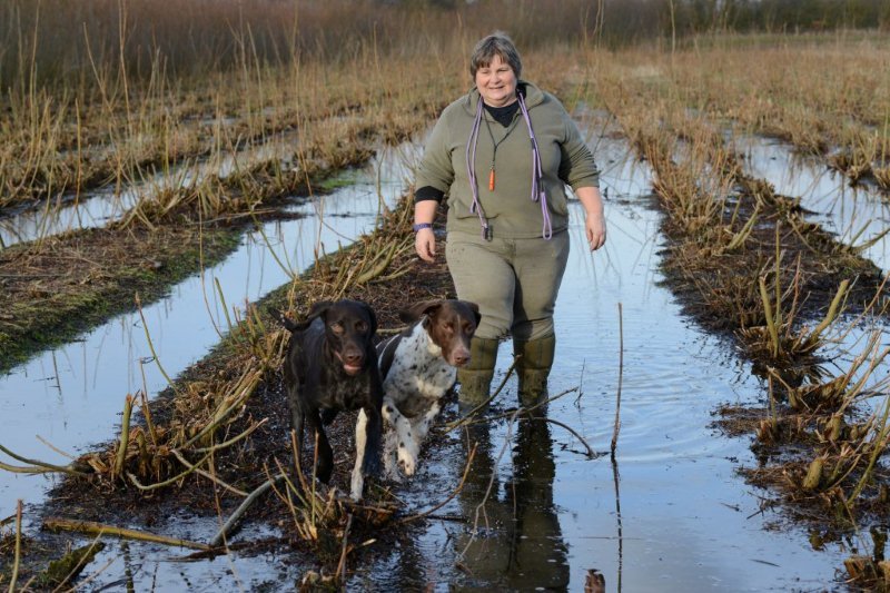 Professional dog training Nuash Animal Services