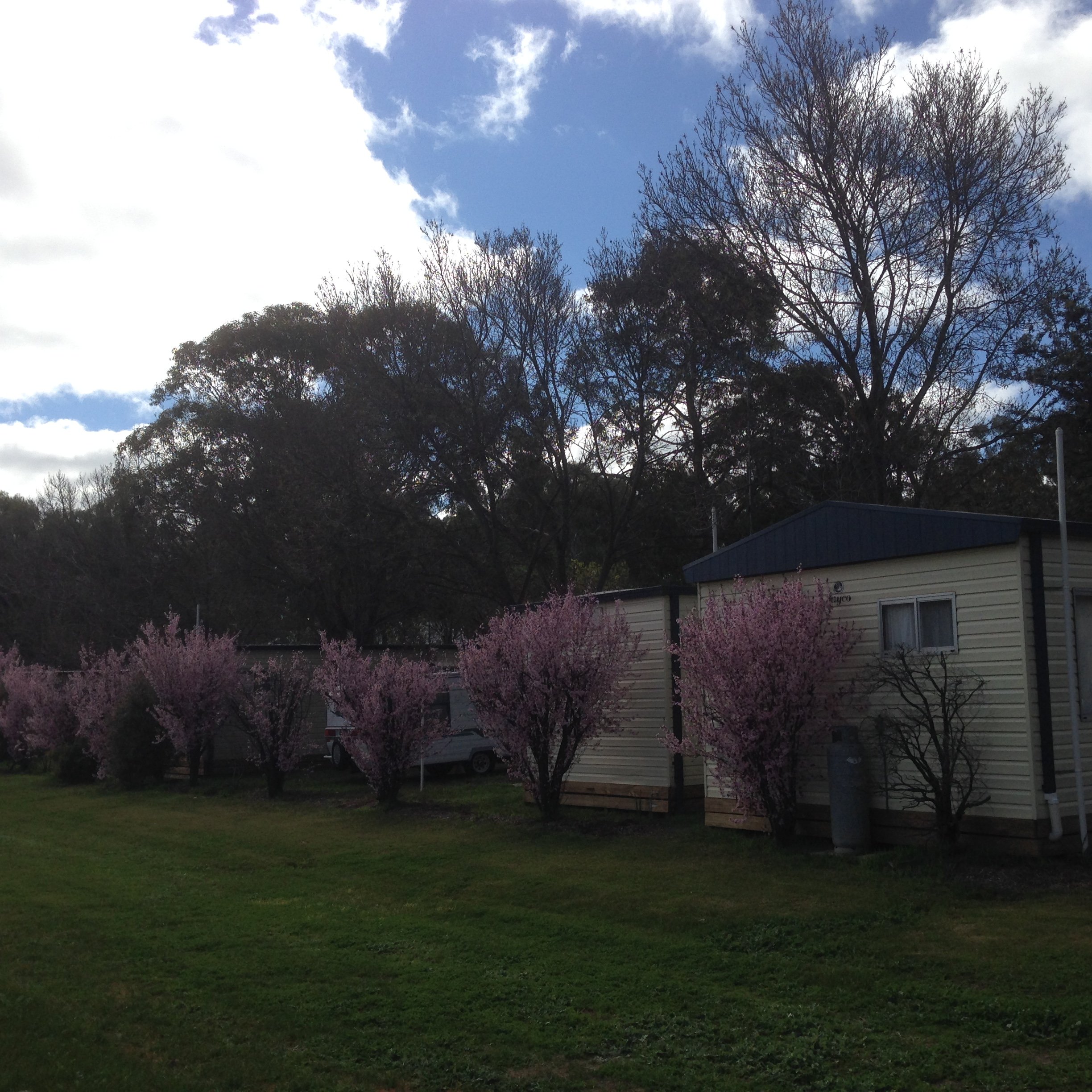 Koondrook Caravan Park Holiday Koondrook Caravan Park