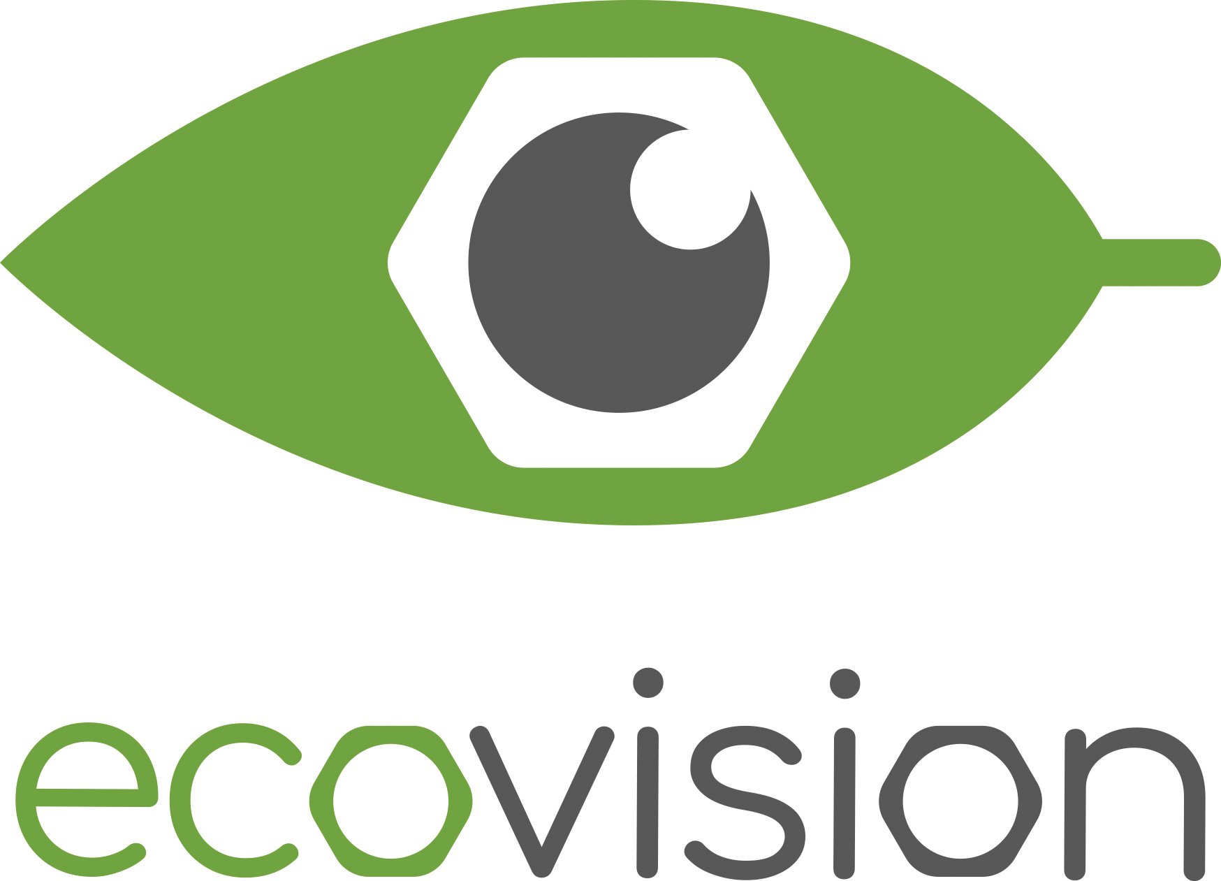 Machine Vision & Industrial Inspection Systems Integration
