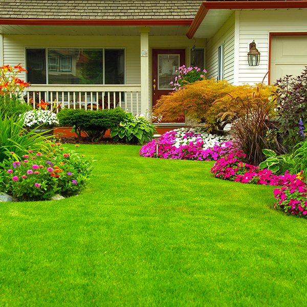 Expert Landscaping Services Dyer, IN Star Landscaping