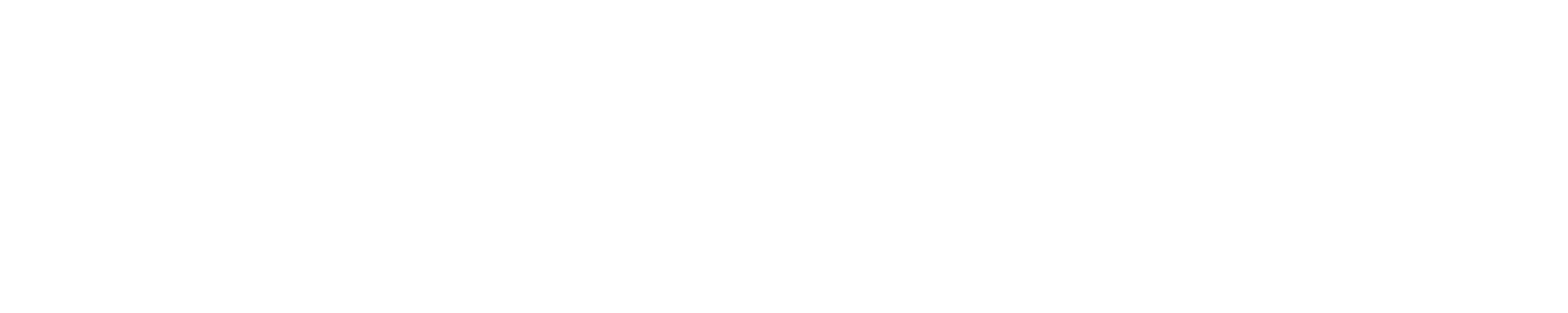 Brooklyn Burger and Meat Co in Blenheim, Marlborough, NZ, Plates To Share