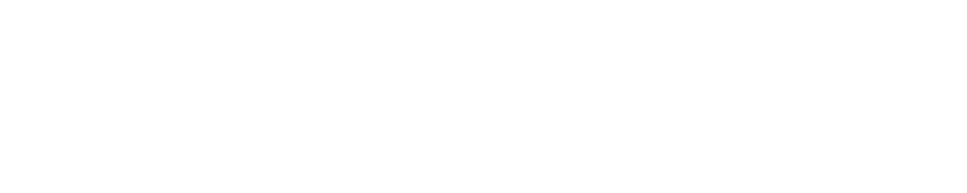 Brooklyn Burger and Meat Co in Blenheim, Marlborough, NZ, Salads