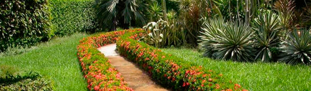 Viveros El Edén - Pasto para Jardín en Lic. Carlos González Salas 103