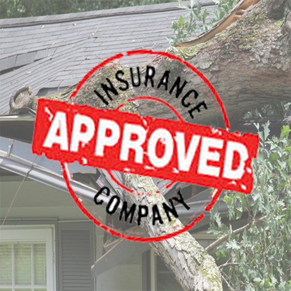Roof Insurance Assistance