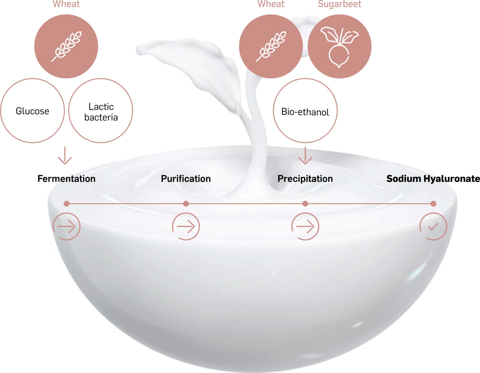 lakm07 aura—discover hyaluroplasty  