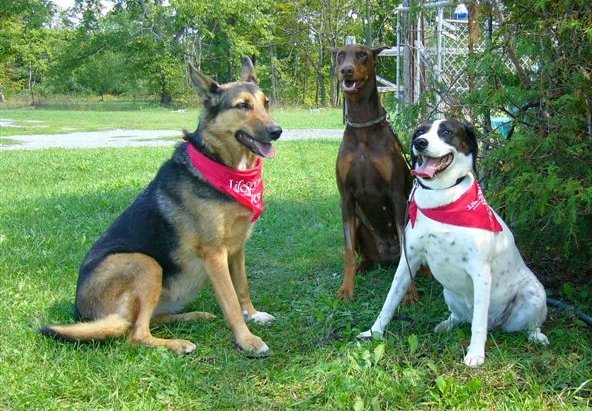 Penelope, Billy, & Bandit