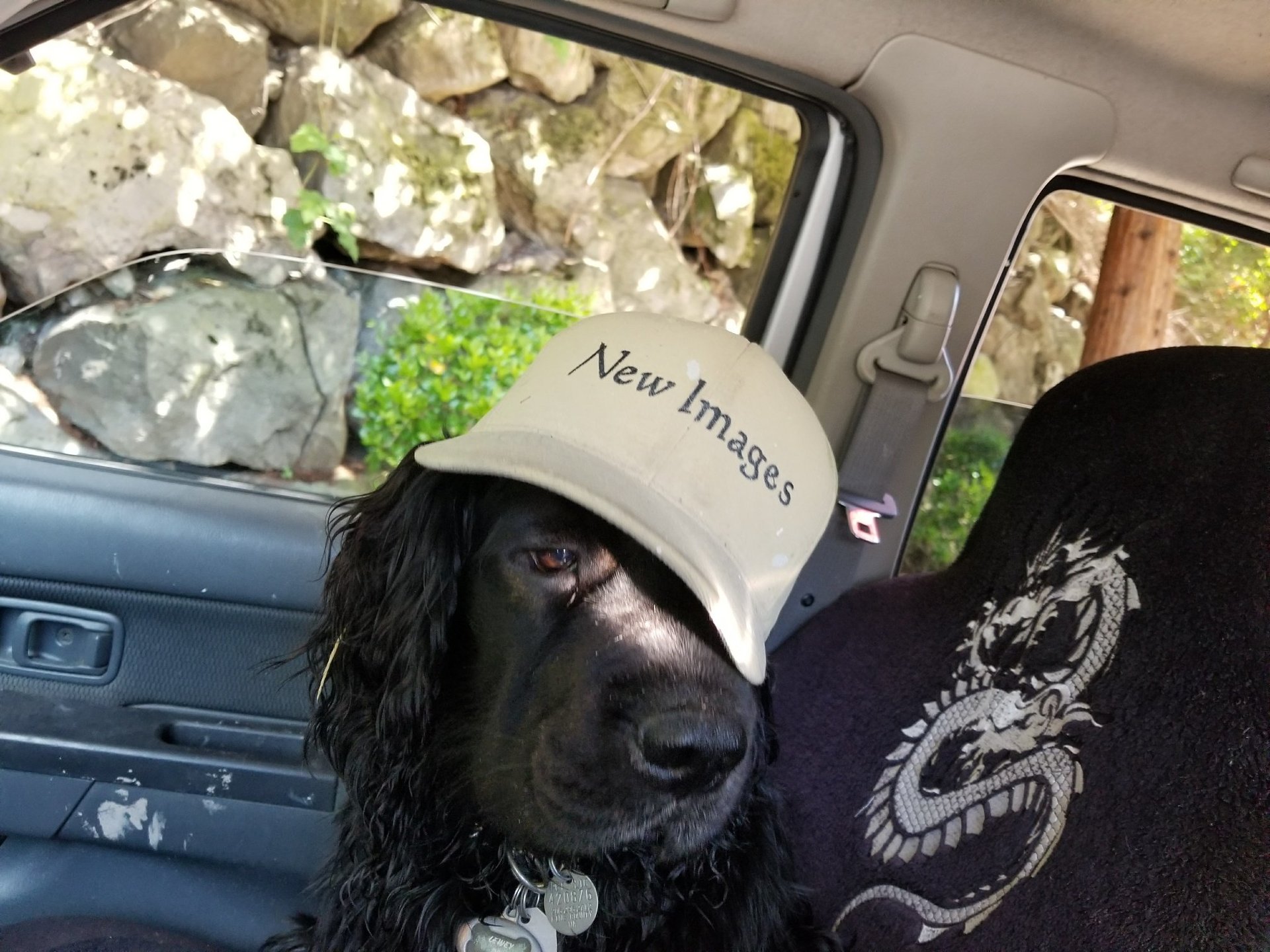 New Images Painting Residential Painting Commercial Painting