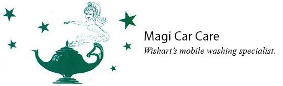 magi car care business logo