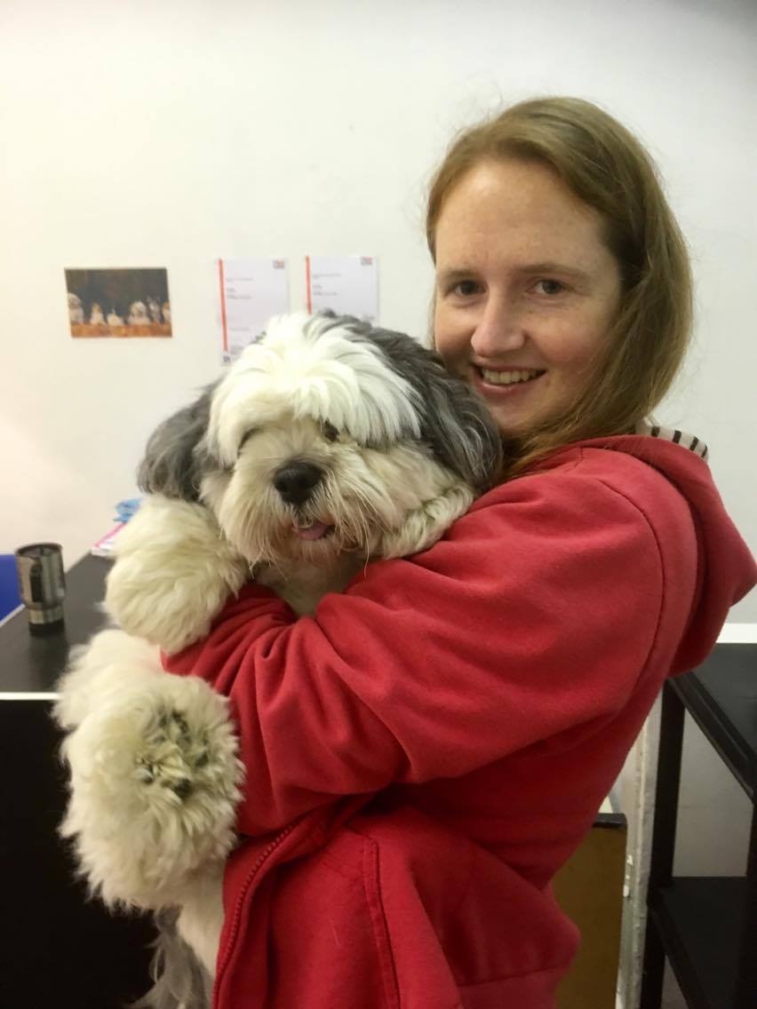 Paws Dog Grooming Services in Rotherham Pawfect Grooms!