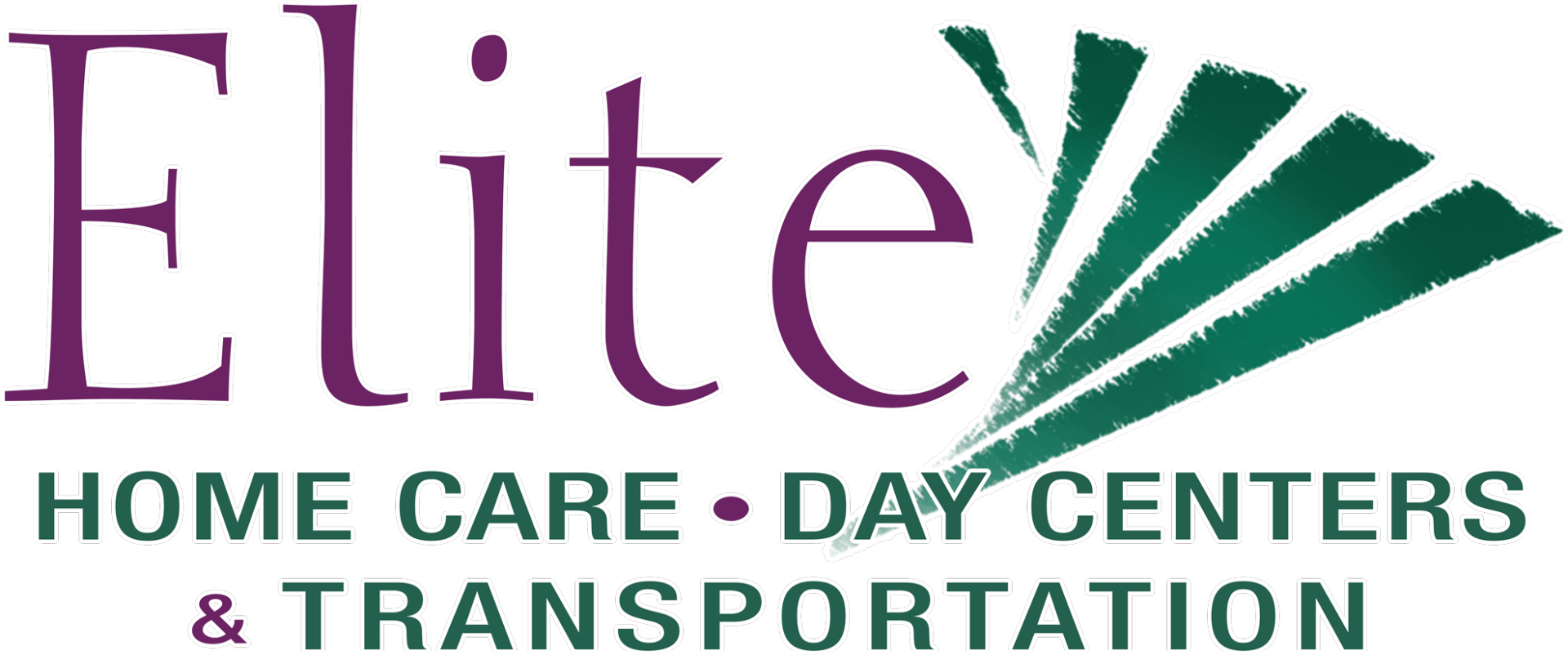 Elite Home Care & Day Centers near Greenville SC