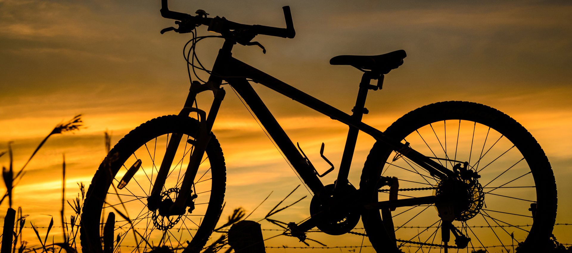Terry Wright Cycles, established cycle shop in Peterborough