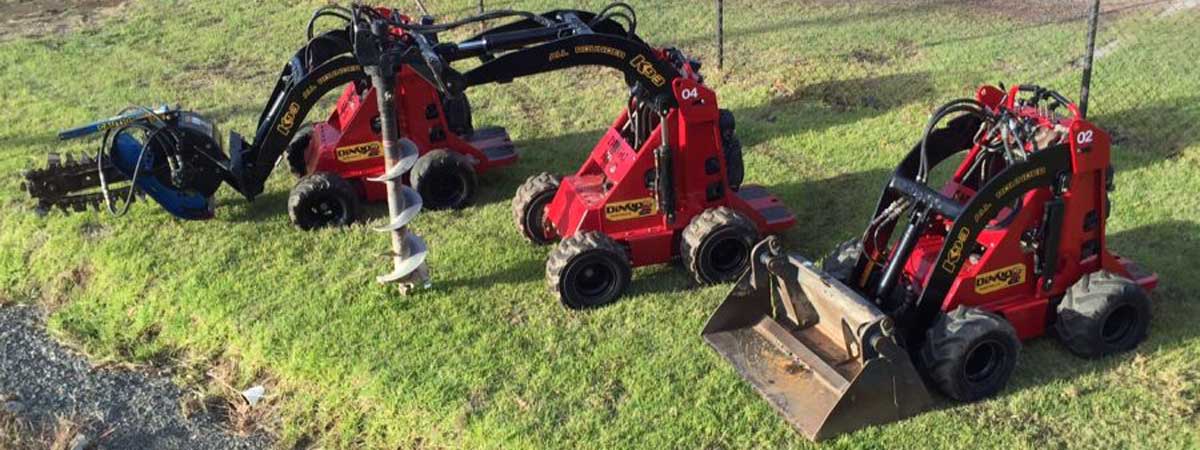budget dingo rental machines lined up affordable dingo hire