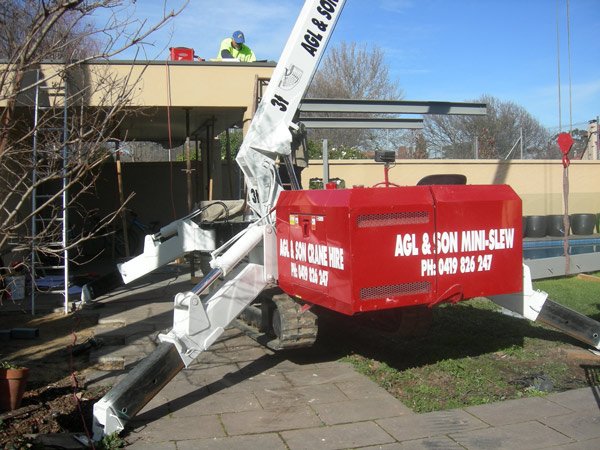 red and white crane on grass