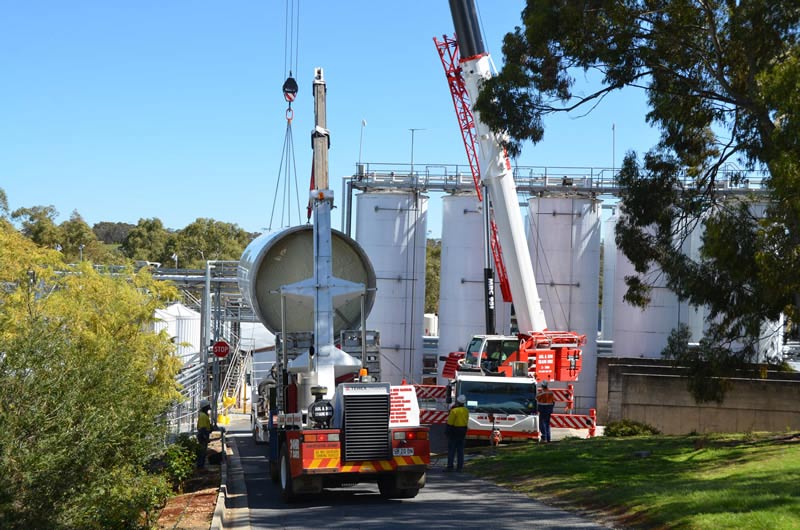 two cranes with multiple white cranes